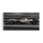 Formula 1 Racing Car Black & White Canvas Art | Poster Print