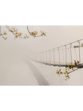 Rope Bridge Canvas Art | Poster Print